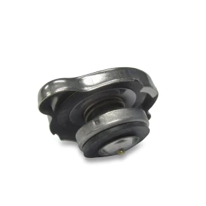Radiator Cap RZR Pro XP