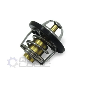 RZR 800 Thermostats