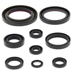 OIL SEAL KIT 822312