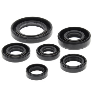 OIL SEAL KIT 822146