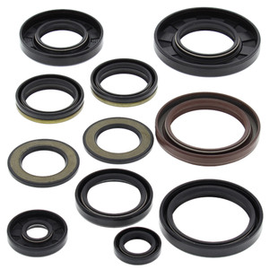 OIL SEAL KIT 822202