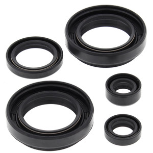OIL SEAL KIT 822234