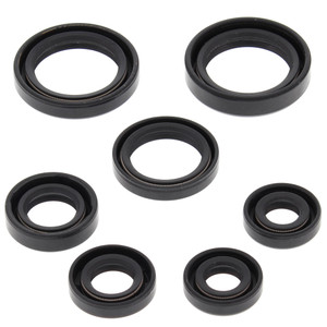 OIL SEAL KIT 822236