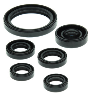 OIL SEAL KIT 822238
