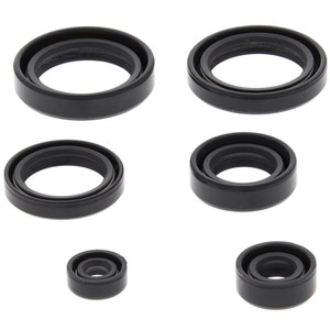 OIL SEAL KIT 822310