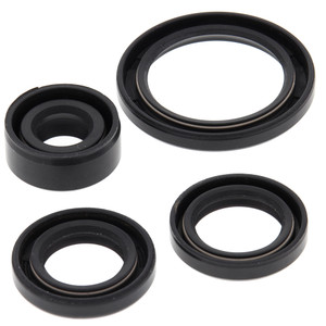 OIL SEAL KIT 822314