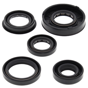 OIL SEAL KIT 822322