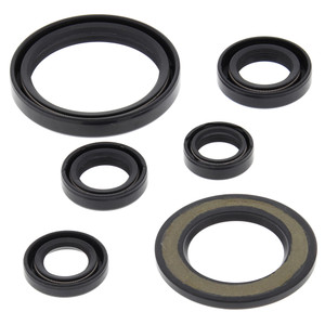 OIL SEAL KIT 822338