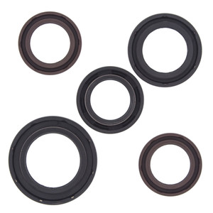 OIL SEAL KIT 822361