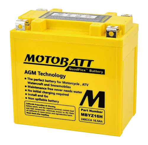 Motobatt Battery