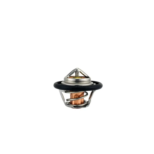 Engine Coolant Thermostat