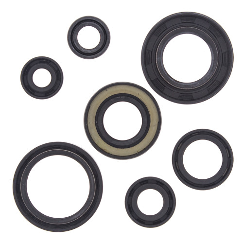 OIL SEAL KIT 822153