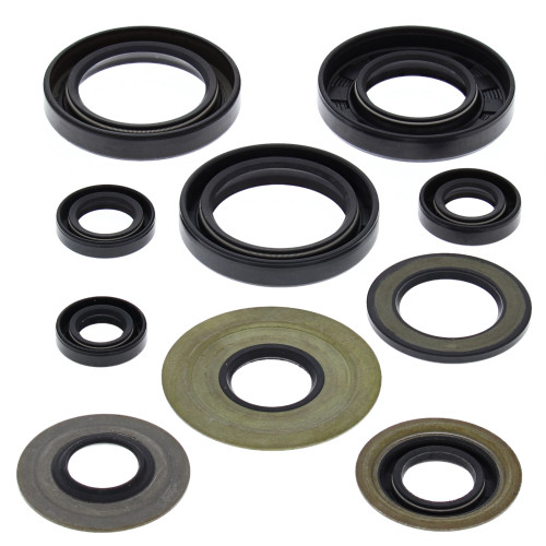 OIL SEAL KIT 822279