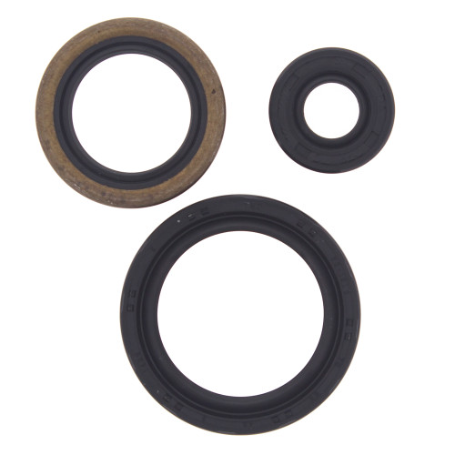 OIL SEAL KIT 822143