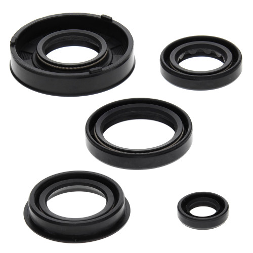 OIL SEAL KIT 822217