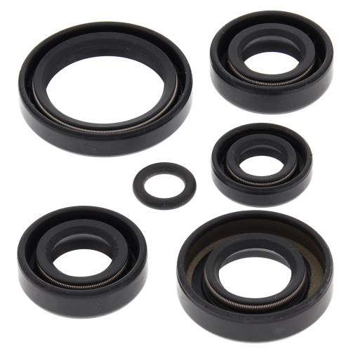 OIL SEAL KIT 822242