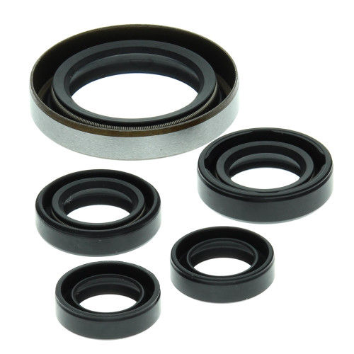 OIL SEAL KIT 822249