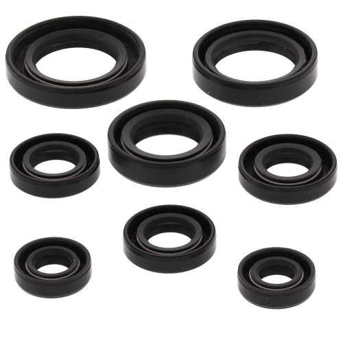 Oil Seal Kit Honda 822255