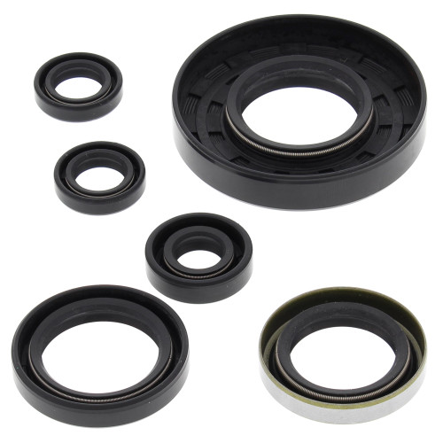 OIL SEAL KIT 822262