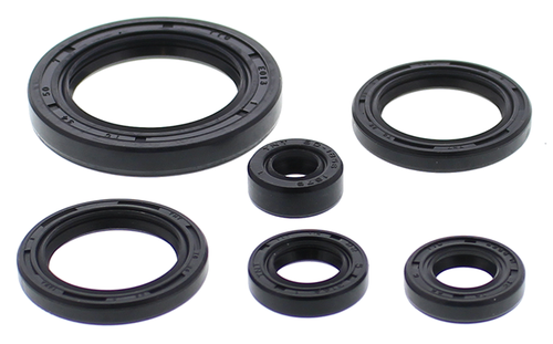 Oil Seal Kit Honda 822978