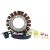 Kit Stator + Tested PeakRPM CDI Box
