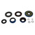 Differential Seal Kit 25-2085-5