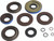 Differential Seal Kit 25-2124-5
