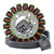 Stator for Can-Am DS 250 2008-2014 DS250 | Repl S31120RCA000
