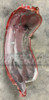 Toyota Land Cruiser FJ60 FJ62 Right Side Inner Fender