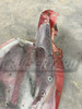Toyota Land Cruiser FJ60 FJ62 Right Side Inner Fender