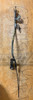 Toyota Land Cruiser OEM 95+ FZJ80 A343 Transmission Dipstick 35103-60101