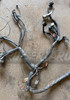Toyota Land Cruiser 93-94 FZJ80 Injector Engine Harness
