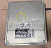 Toyota Land Cruiser OEM FZJ80 ECU ECM 8966160221