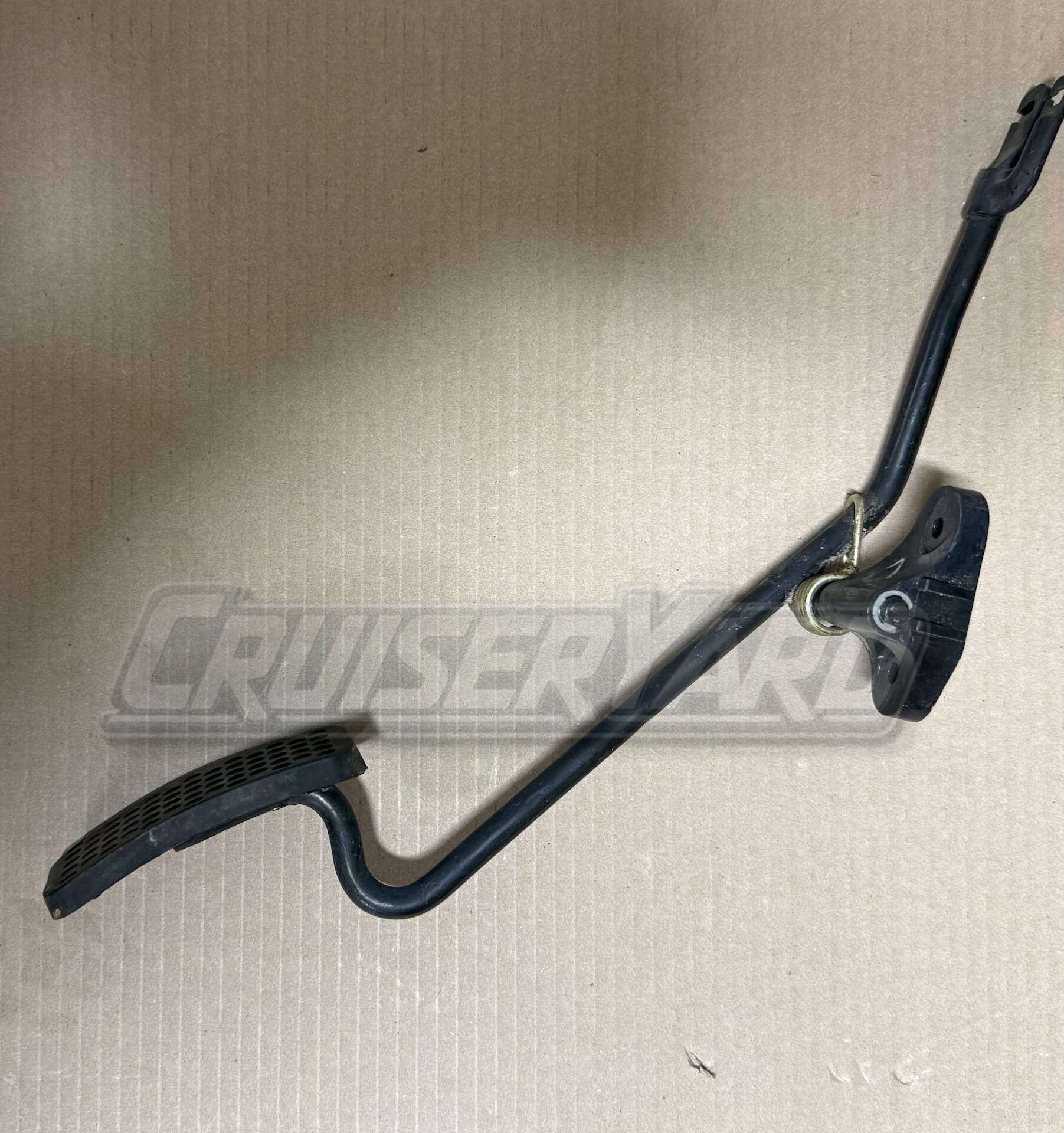 IMG_1817_watmark__51812.