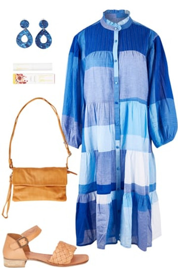Bluebird--4039074