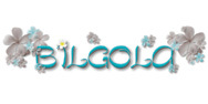 Bilgola