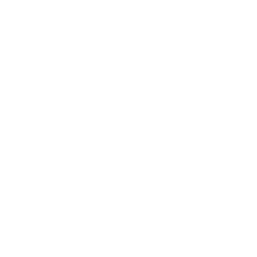 TikTok icon