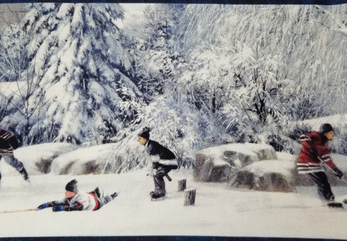 Pond Hockey