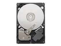 Seagate Pipeline HD ST1000VM002 - hard drive - 1 TB - SATA 6Gb/s (ST1000VM002)