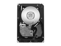 Seagate Cheetah 15K ST3300657FC - hard drive - 300 GB - 4Gb Fibre Channel (ST3300657FC)