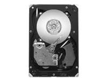 Seagate Cheetah 15K ST3300657SS - hard drive - 300 GB - SAS 6Gb/s (ST3300657SS)