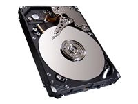 Seagate Enterprise Performance 10K HDD ST450MM0006 - hard drive - 450 GB - SAS 6Gb/s (ST450MM0006)