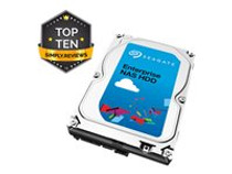 Seagate Enterprise NAS HDD ST2000VN0001 - hard drive - 2 TB - SATA 6Gb/s (ST2000VN0001)