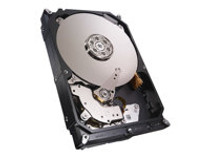 Seagate NAS HDD ST2000VN001 - hard drive - 2 TB - SATA 6Gb/s (ST2000VN001)