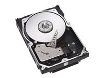 Seagate Cheetah 10K.7 - hard drive - 146 GB - Ultra320 SCSI (ST3146707LW)