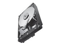 Seagate Constellation ES.2 ST32000646NS - hard drive - 2 TB - SATA 6Gb/s (ST32000646NS)