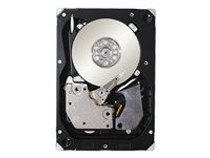 Seagate Cheetah 15K ST3300656SS - hard drive - 300 GB - SAS (ST3300656SS)