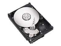 Seagate Barracuda 7200.9 - hard drive - 80 GB - ATA-100 (ST3802110A)