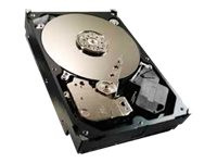 Seagate Video 3.5 HDD ST4000VM000 - hard drive - 4 TB - SATA 6Gb/s (ST4000VM000)
