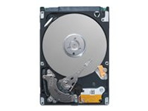 Seagate Momentus Laptop ST9320423AS - hard drive - 320 GB - SATA 3Gb/s (ST9320423AS)